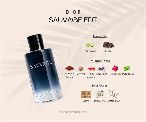 dior sauvage kerst|Dior Sauvage cologne top notes.